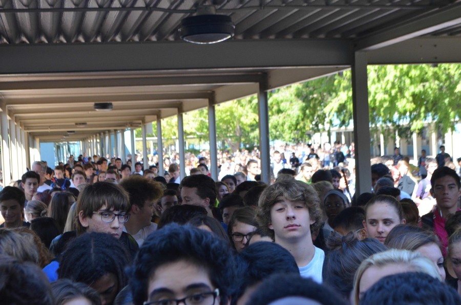Pictures from the Homecoming 2015 Rally