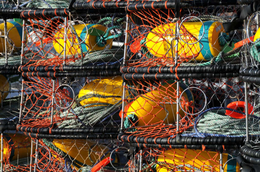 Stacked crab pots are laying by dormant while California is reeling from the Domoic Acid outbreak. 