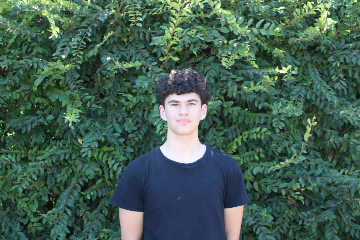 Gabe Levy