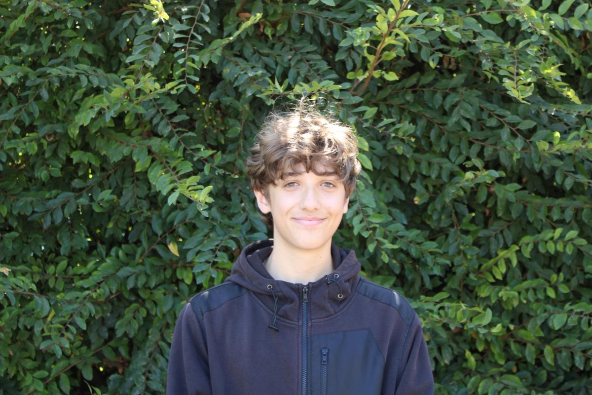 Louis Troccoli