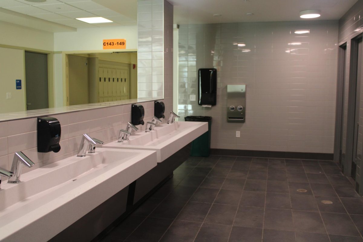 TL's Bathroom Redesign: A Step Towards Safety