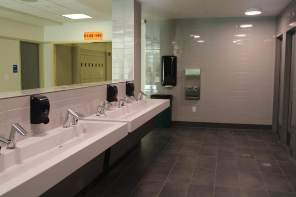 TL's Bathroom Redesign: A Step Towards Safety