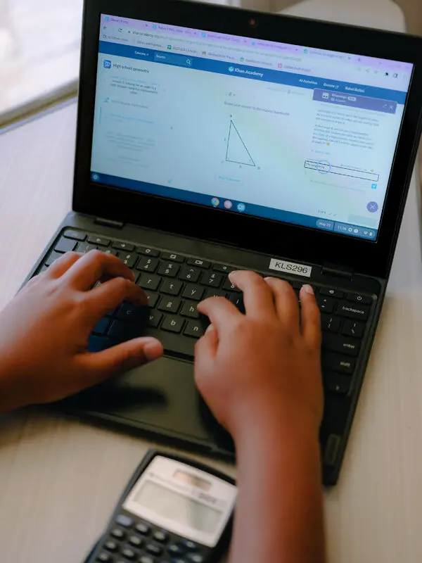 The Different Effects of AI on Humanities vs. STEM Education