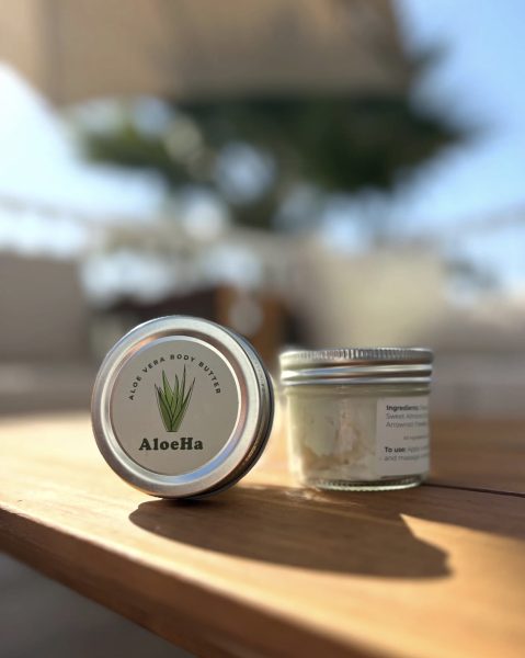 From Ideas to Impact: MSEL Students Launch Sustainable Businesses