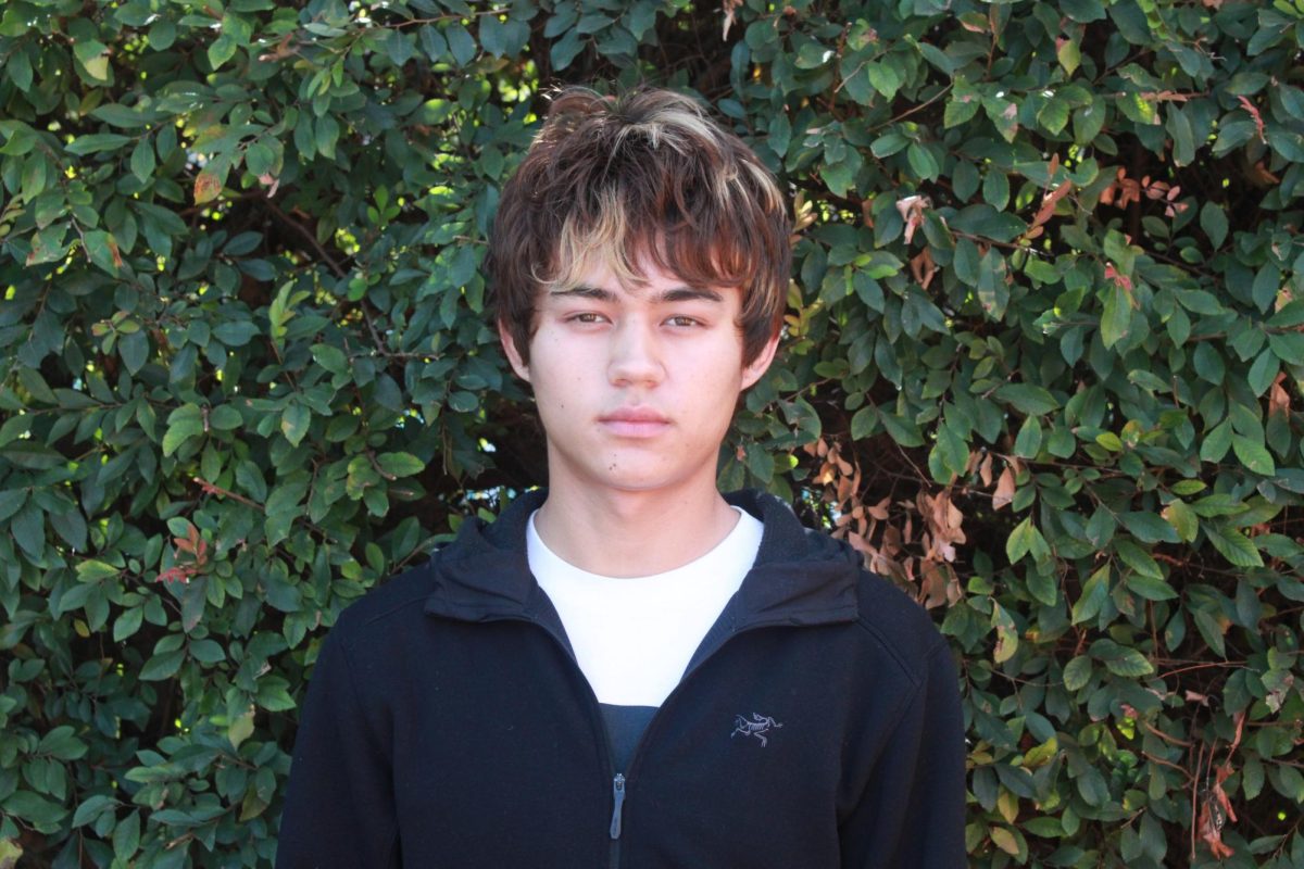Cael Koerner